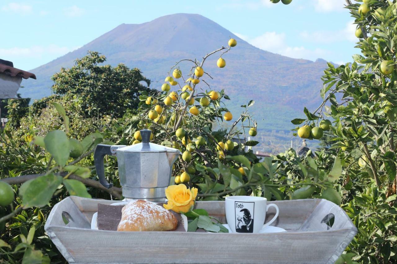 B&B Maison Blanche Pompei Ngoại thất bức ảnh